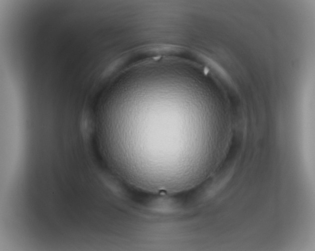 X0000113640119200909251249