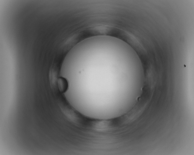 X0000113640122200909251249