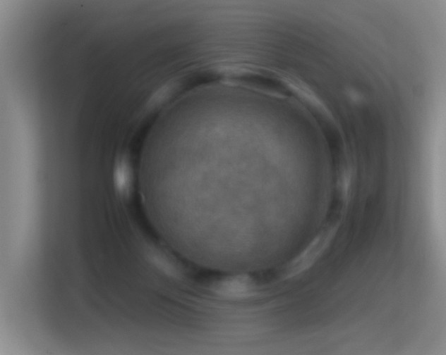 X0000113640124200909251249