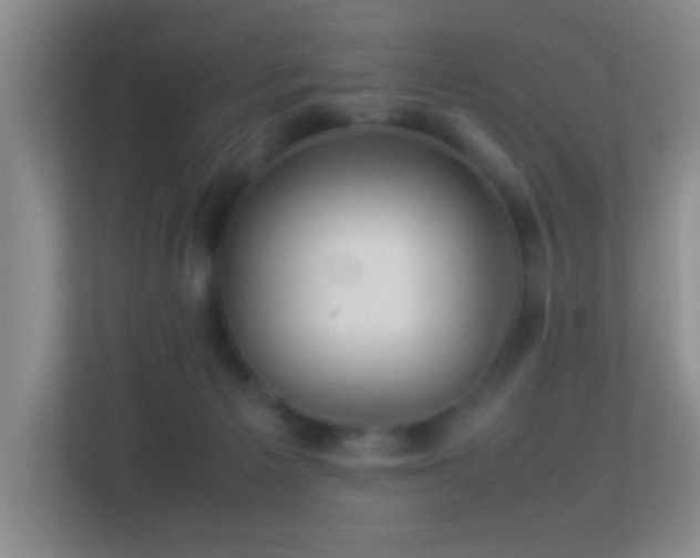 X0000113640125200909251249