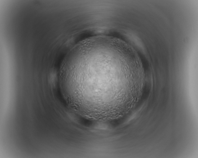 X0000113640127200909251249