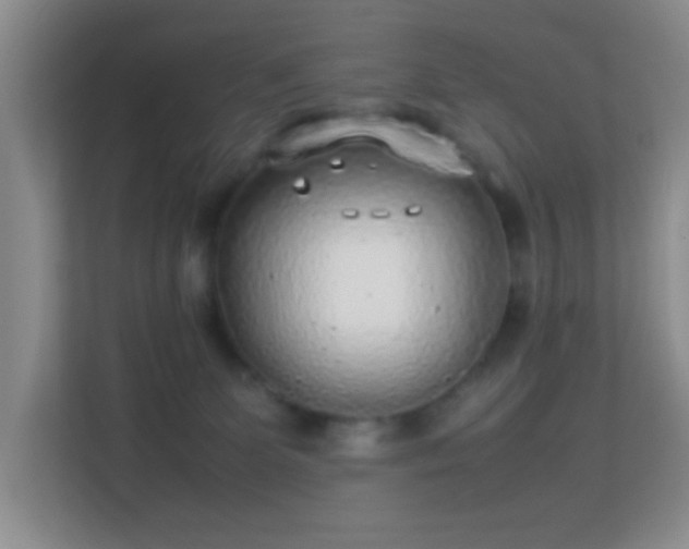 X0000113640131200909251249