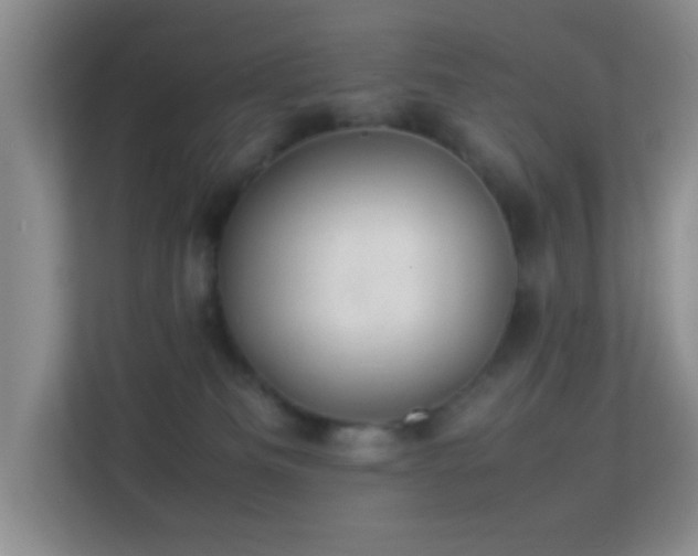 X0000113640133200909251249