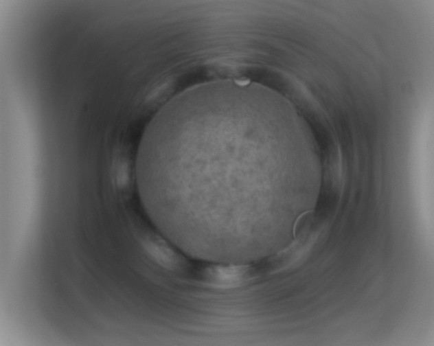 X0000113640134200909251249