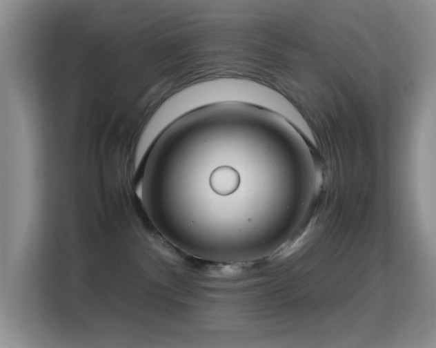 X0000113640140200909251249