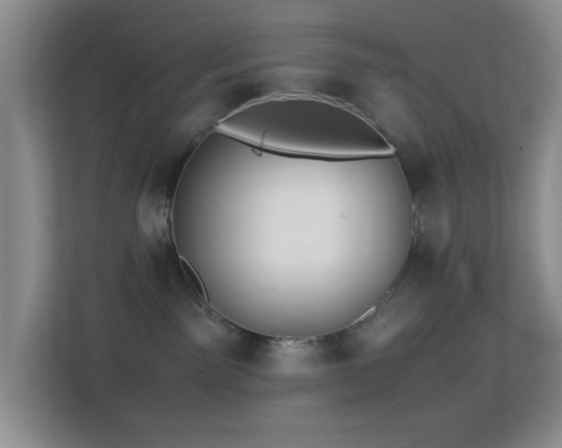 X0000113640141200909251249