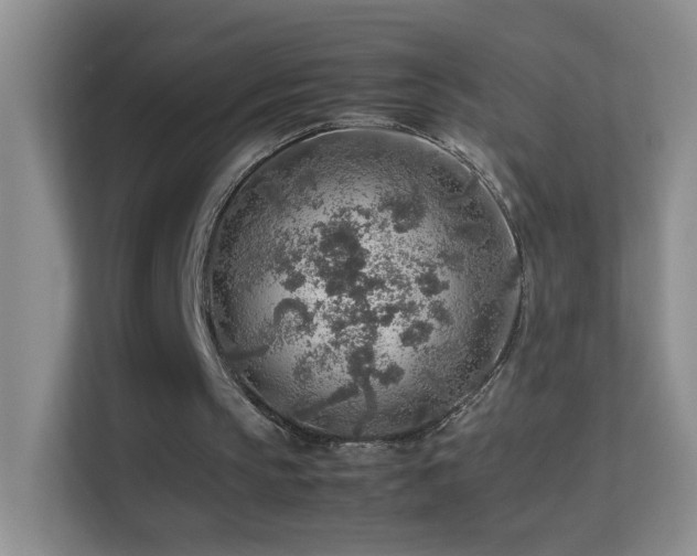 X0000113640145200909251248