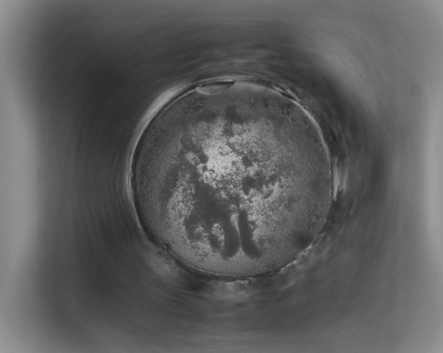 X0000113640147200909251248