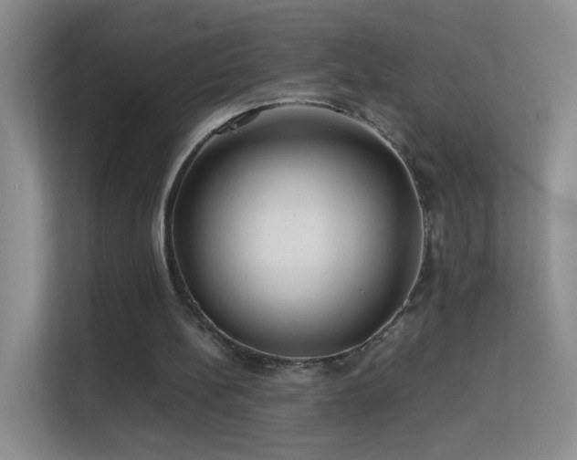 X0000113640148200909251248