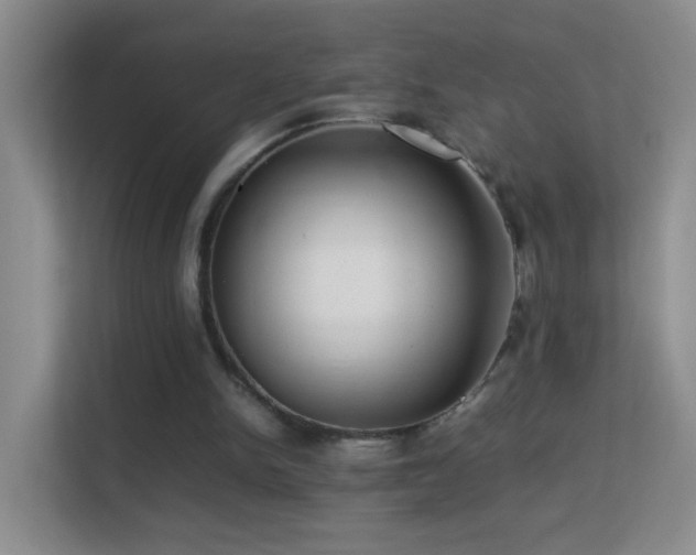 X0000113640150200909251248