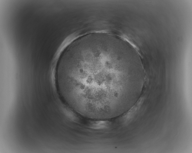 X0000113640151200909251248