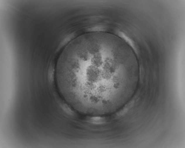 X0000113640153200909251248