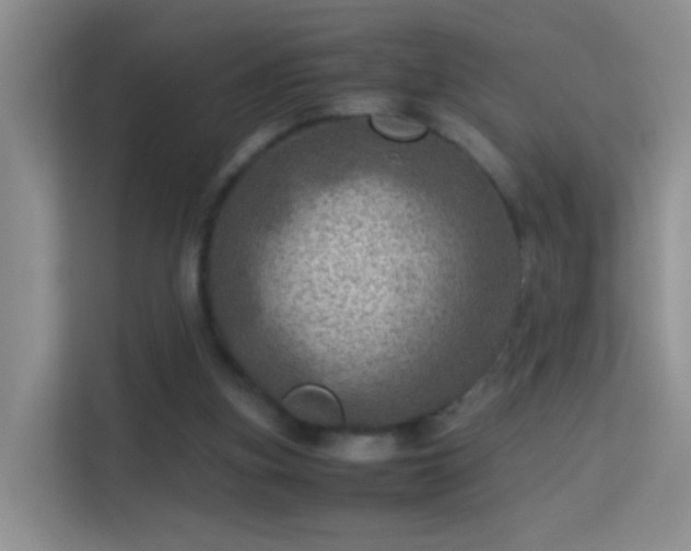 X0000113640155200909251248