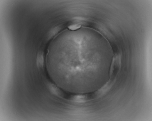 X0000113640158200909251248