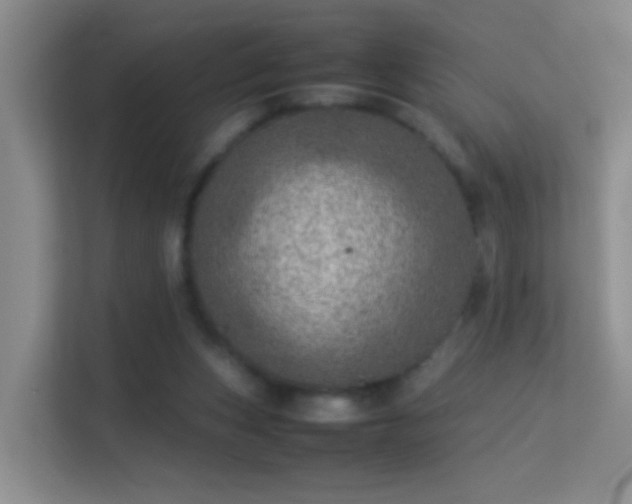 X0000113640159200909251248