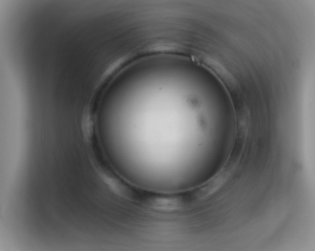 X0000113640160200909251248