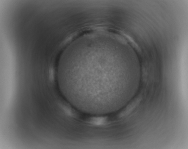 X0000113640161200909251248