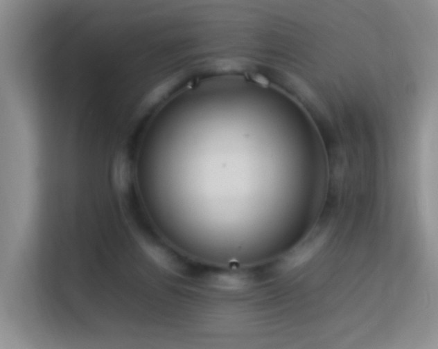 X0000113640164200909251248