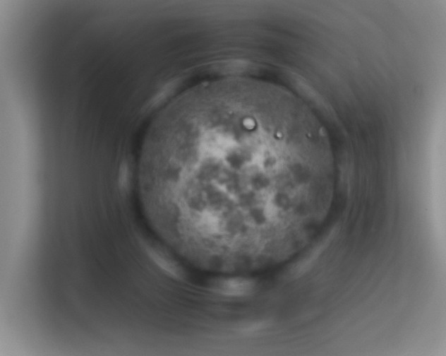 X0000113640165200909251248