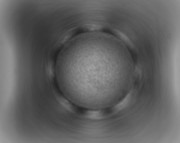 X0000113640170200909251248