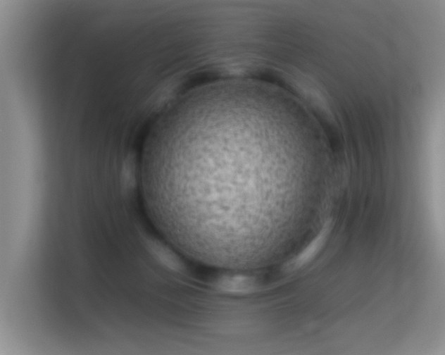 X0000113640174200909251249