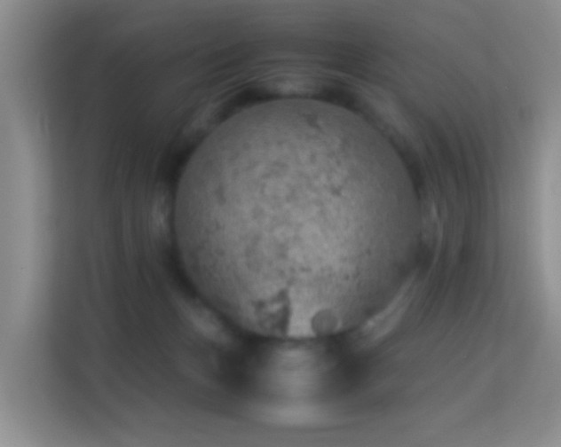 X0000113640175200909251249