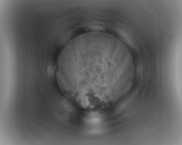 X0000113640177200909251249