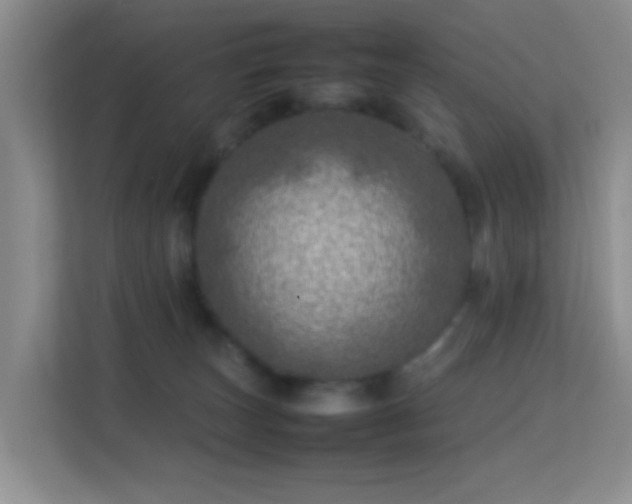 X0000113640179200909251249