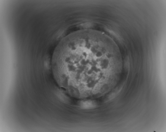 X0000113640181200909251249