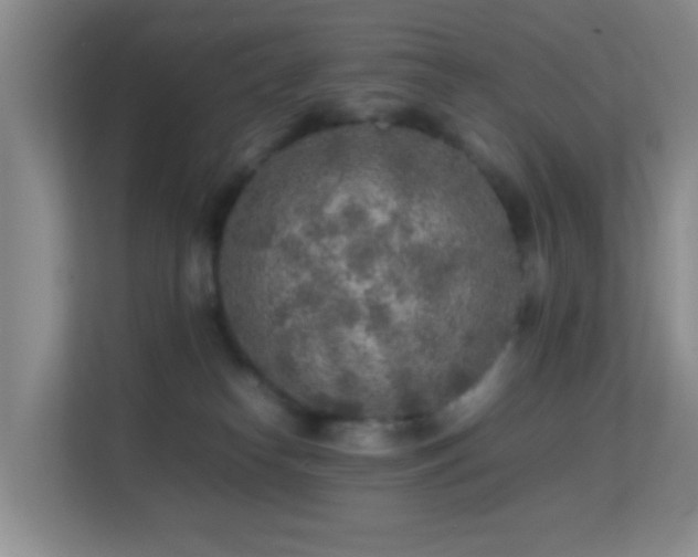 X0000113640182200909251249