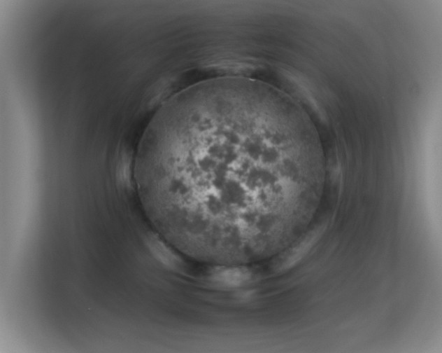 X0000113640185200909251249