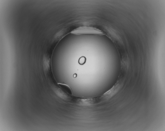 X0000113640188200909251249