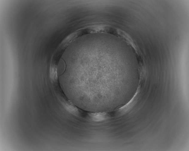 X0000113640191200909251249