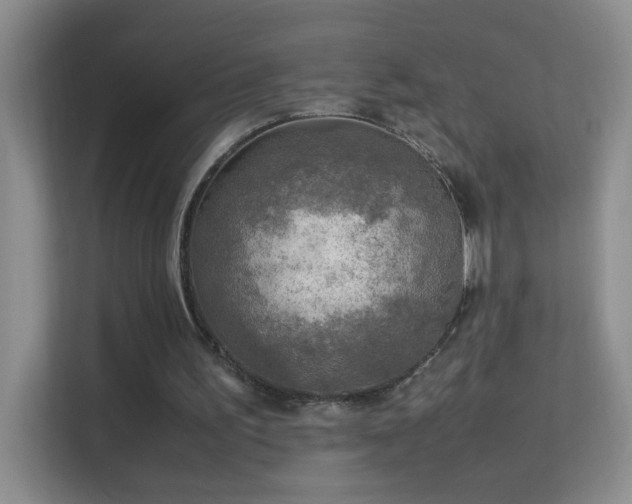 X0000113640195200909251248