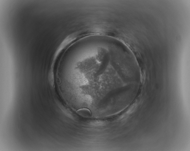 X0000113640198200909251248