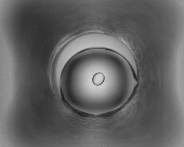 X0000113640199200909251248