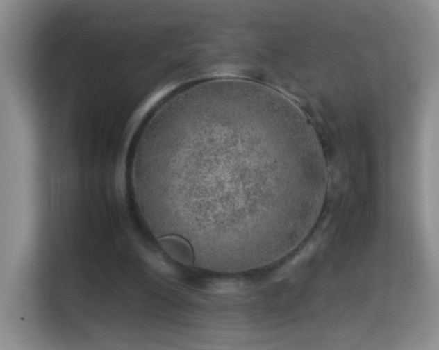 X0000113640200200909251248