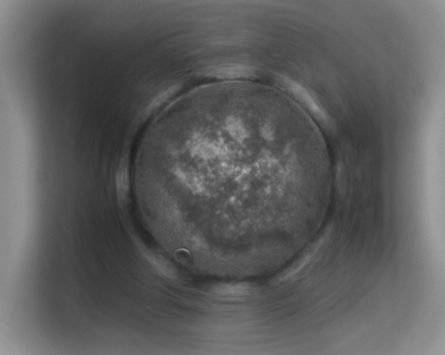 X0000113640202200909251248