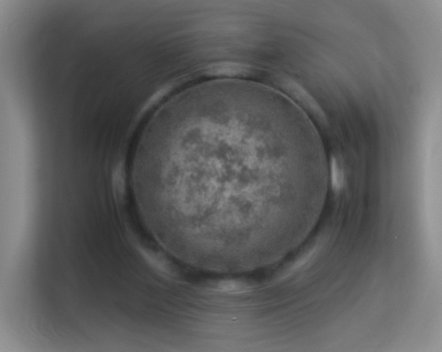 X0000113640204200909251248