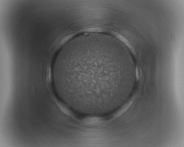 X0000113640205200909251248