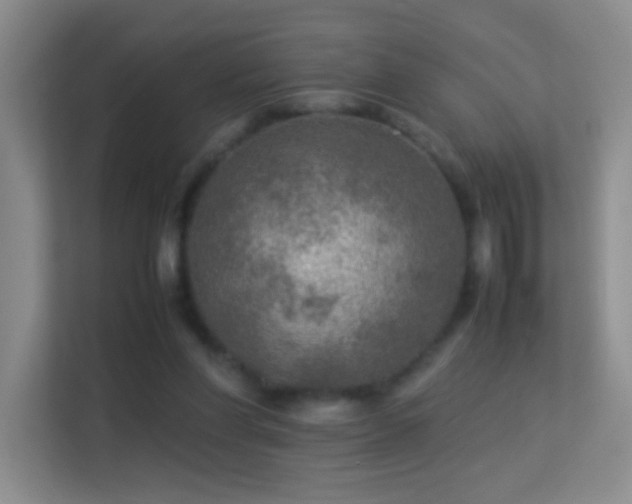 X0000113640206200909251248