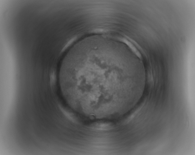 X0000113640208200909251248