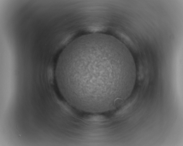 X0000113640210200909251248