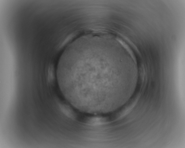 X0000113640212200909251248