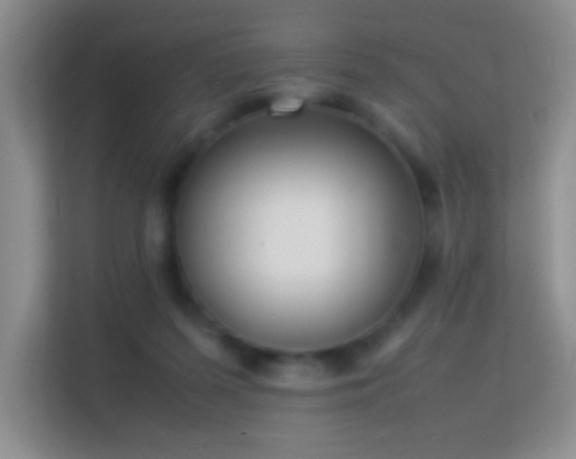 X0000113640215200909251248