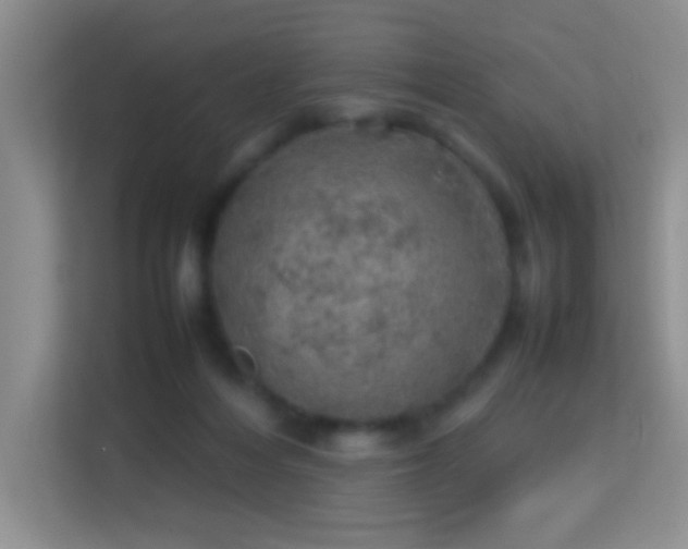 X0000113640216200909251248