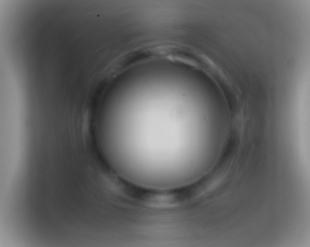 X0000113640217200909251248