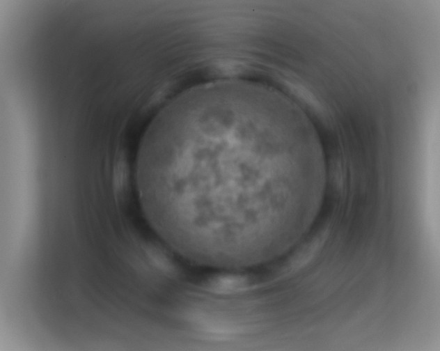 X0000113640220200909251248