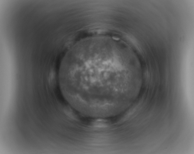 X0000113640222200909251248