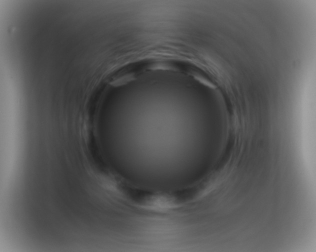 X0000113640223200909251248